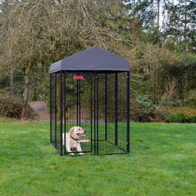 Lucky Dog 6 ft. x 4 ft. x 4 ft. STAY Series Studio Dog Kennel with Gray Cover