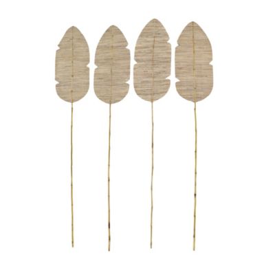 Image showing  79 in. Dried Brown Bamboo Eclectic Natural Foliage Plants, 4 pc.