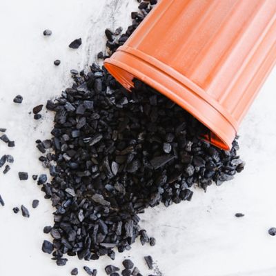 Image showing  24 oz. Horticultural Charcoal in Resealable Bag