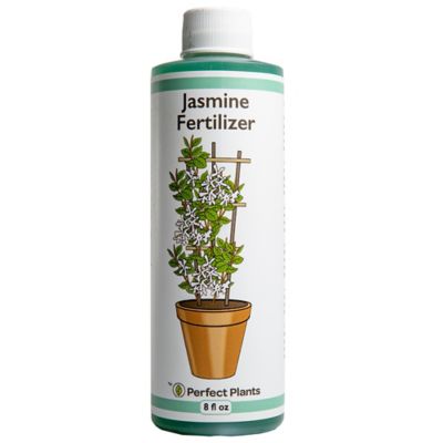 Image of Jasmine fertilizer worm castings