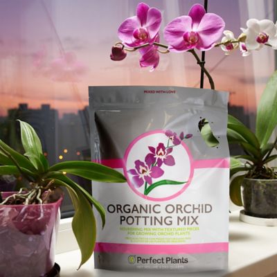 Image showing  4 qt. Organic Orchid Potting Mix in Resealable Bag