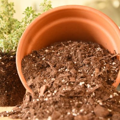 Image showing  8 qt. Organic Potting Mix in Re-Sealable Bag