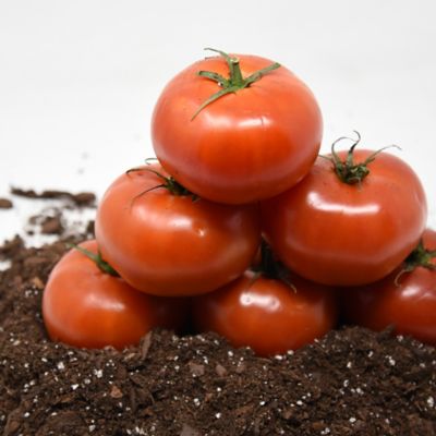 Image showing  8 qt. Organic Potting Mix in Re-Sealable Bag