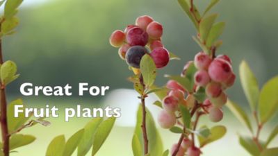 Image showing  8 qt. Organic Peat Moss in Resealable Bag