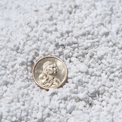 Image showing  1 qt. Organic Perlite in Resealable Bag