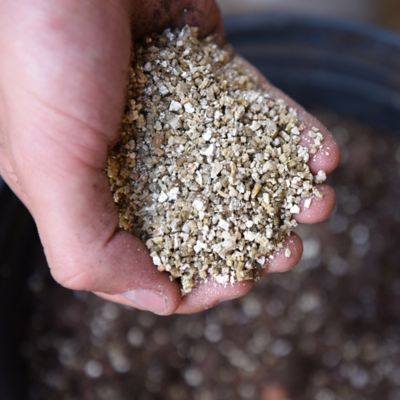 Image showing  8 qt. Vermiculite in Resealable Bag
