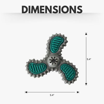 Image showing  TPR Nylon Dental Spinner Dog Toy