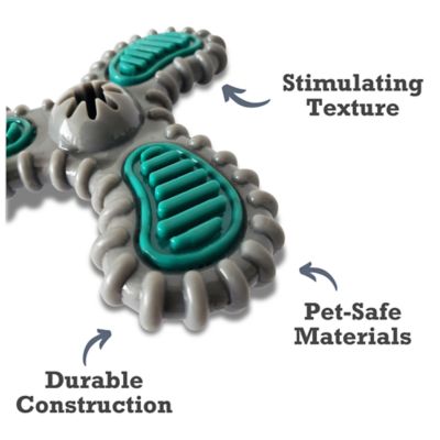 Image showing  TPR Nylon Dental Spinner Dog Toy