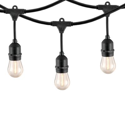 24 ft. 12 Bulb Outdoor Incandescent String Lights - Black, Size: 24