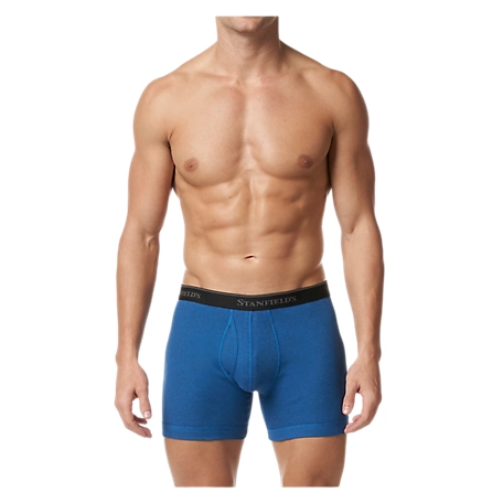 Stanfield's Men's Premium Cotton Modern Fit Low-Rise Boxer Briefs, 2 pc. at  Tractor Supply Co.