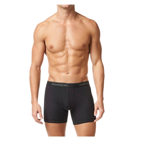Stanfield's Men's Premium Cotton Modern Fit Low-Rise Boxer Briefs, 2 pc.
