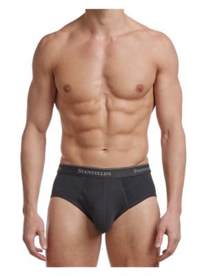 Stanfield's Men's Premium Cotton Modern Fit Low-Rise Boxer Briefs, 2 pc., Gray