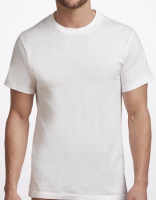 Stanfield's Men's Premium Cotton Crew Neck T-Shirts, 2-Pack