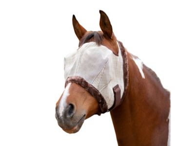 Image showing  Signature Draft Fly Mask w/Plush Fleece Trim