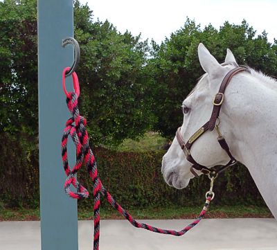 Image showing  Safe-T-Ties, 2-Pack