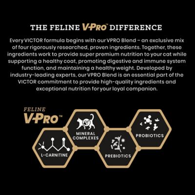 Image showing  Hi-Pro Plus Active Cat and Kitten Fish Recipe All Life Stage Dry Cat Food