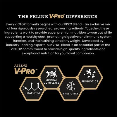 Image showing  Hi-Pro Plus Active Cat and Kitten Fish Recipe All Life Stage Dry Cat Food