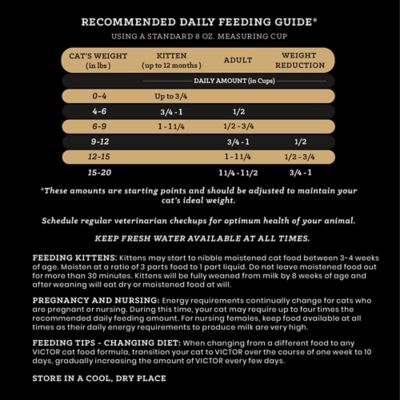 Image showing 5 th Victor Healthy Skin and Coat Indoor Cat, Grain-Free Fish Formula Dry Cat Food