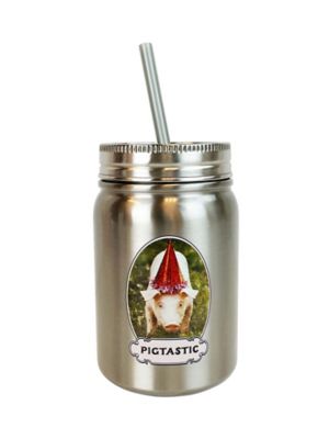 HaynesBesco Group 650 mL Stainless Steel Mason Jar with Straw Pigtastic