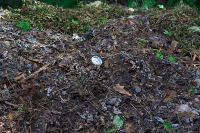 Image showing  Compost Wizard Thermometer