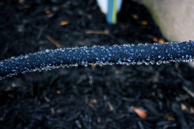 Image showing  50 ft. Rain Barrel Soaker Hose