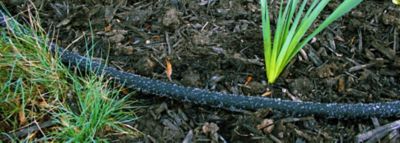 Image showing  50 ft. Rain Barrel Soaker Hose
