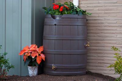 Image showing  65 gal. Rain Wizard Rain Barrel, Oak