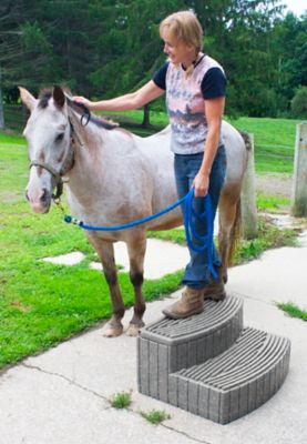 Image showing  Stora Storage Step, Light Granite