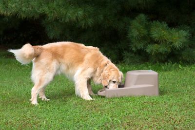 Image showing  DASH 5.0 WATERING SYSTEM with DAKOTA GUARD ANTIMICROBIAL - COYOTE GRANITE