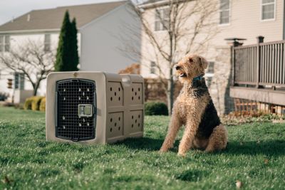 Image showing  35 in. G3 Framed Door Dog Kennel with Dakota Guard Antimicrobial, Large, Coyote Granite