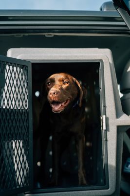 Image showing 8 th Dakota 283 40.25 in. Hero Dog Kennel with Dakota Guard Antimicrobial, Dark Granite
