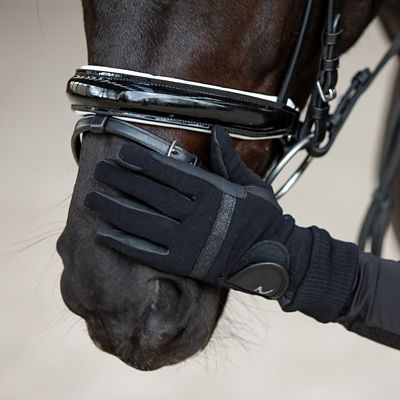 Image showing  Grayson Classic Dressage Ergonomic Bridle
