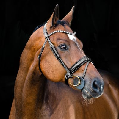 Image showing  Clermont Ergonomic Crystal Bridle