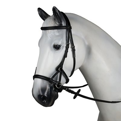Image showing  Denver Bitless English Bridle
