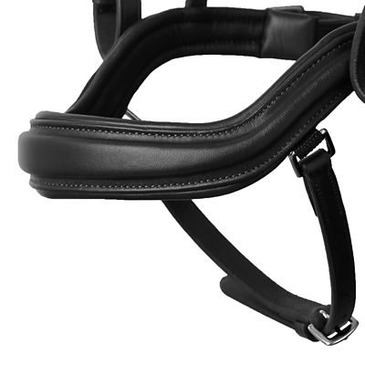 Image showing  Highbury Anatomical Crystal Dressage Bridle