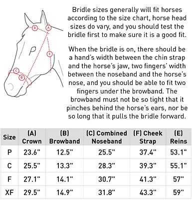 Image showing  Highbury Anatomical Crystal Dressage Bridle