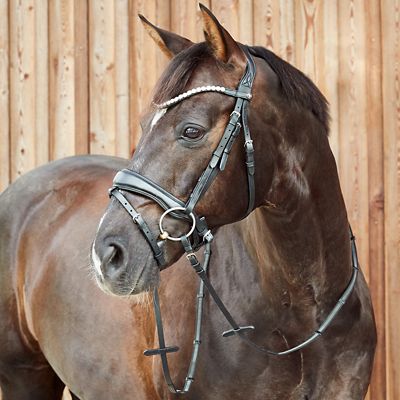 Image showing  Somerset Fancy Show Bridle
