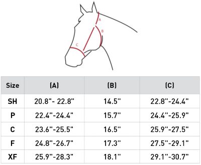 Image showing  Lunging Cavesson