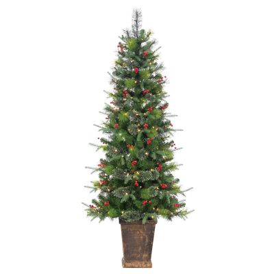 Gerson International 6 ft. High Potted Hard/Mixed Needle Douglas Pine with Red Berries, 250 Warm White LED Lights