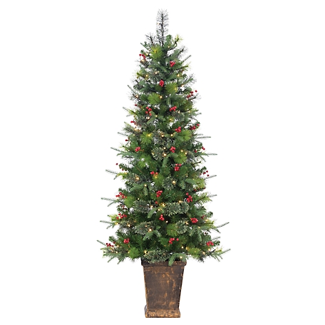 Gerson International 6 ft. High Potted Hard/Mixed Needle Douglas Pine with Red Berries, 250 Warm White LED Lights