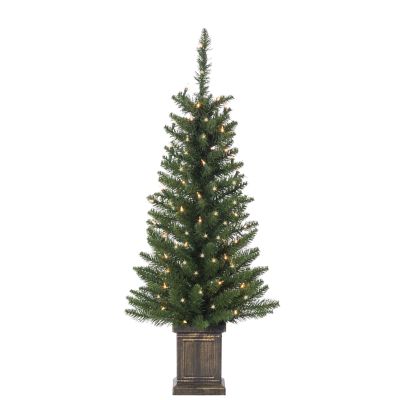 Gerson International 3.5 ft. Potted Colorado Spruce Tree with 50 Clear LED Lights