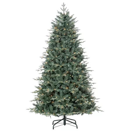 Gerson International 7' Pre-Lit Blue Spruce Naturally Cut with 400 Clear UL Lights Artificial Christmas Trees