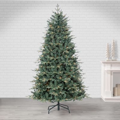 Image showing  7 ft. Pre-Lit Natural Cut Blue Spruce Tree with 400 UL Clear Lights