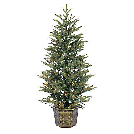 Gerson International 4.5 ft. Potted Natural Cut Eastern Pine Tree with 150 Clear Lights