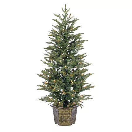 Gerson International Natural Cut Eastern Pine in 4.5 Foot Pot with 150 Clear Lights Artificial Christmas Trees