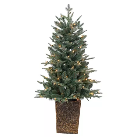 Gerson International Naturally Cut Blue Spruce in 4 Feet Tall Pot 100 Clear White LED Lights Artificial Christmas Trees