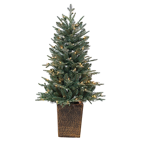 Gerson International 4 ft. High Potted Natural Cut Blue Spruce Tree, 100 Clear White LED Lights