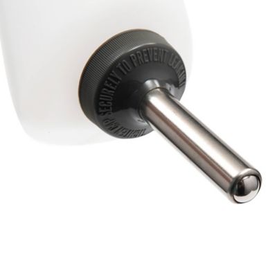 Image showing 6 th Lixit Dishwasher Safe Stainless Steel Pet Water Bottle and Tube, 4 Cups