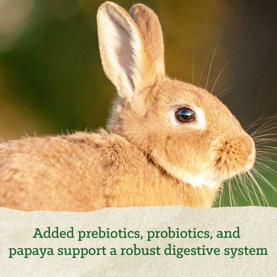 Image showing  15% Rabbit Feed
