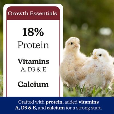 Image showing 5 th Nutrena NatureWise Chick Starter Grower 18% Protein Crumble Non-Medicated